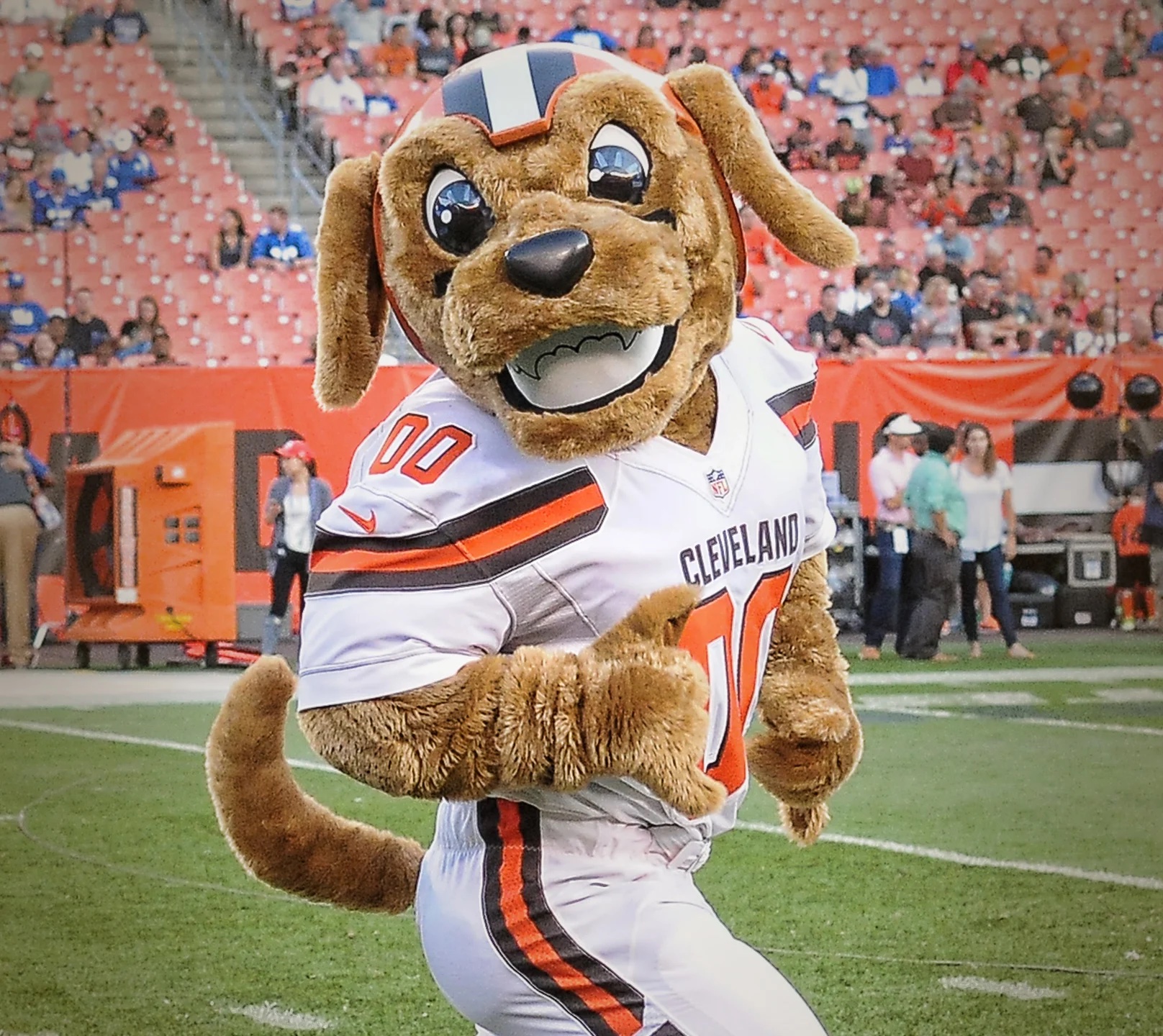 Who is the lowest and highest paid mascot in the NFL? - AS USA