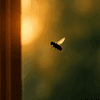 Latest News