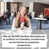 #NoticieroDelMediodía | Esta iniciativa es financiada mediante un crédito de 100 millones de dólares del Banco Interamericano de Desarrollo (BID) y ejecutada a través del Fondo Colombia en Paz, ha respaldado 201 proyectos en 114 municipios de 18 departamentos, principalmente en territorios priorizados por los Programas de Desarrollo con Enfoque Territorial (PDET).