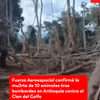 #ServicioInformativo | Fuerza Aeroespacial confirmó la mu3rte de 10 animales tras bombardeo en Antioquia contra el Clan del Golfo.