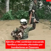 El Ejército y la Fuerza Aeroespacial continúan evacuando familias y animales afectados por inundaciones en Casanare.