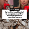 #DosPuntos | Rastrea Huellas es una aplicación gratuita que tiene como objetivo reunir a las mascotas perdidas con sus familias tras el terremoto del pasado 10 de agosto.