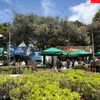 #ProyectoPaís | A lo largo de la feria ‘Colombia son los regiones’, los asistentes al parque de la 93 en Bogotá pudieron ver y conocer diferentes culturas de los departamentos de nuestro país.