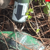 #ServicioInformativo I El Ejército ubicó y destruyó dos explosivos de alto poder en Cajibío, Cauca.