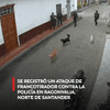 #EnRedes | La Policía fue atacada con disparos de francotirador en el parque principal del municipio de Ragonvalia, Norte de Santander, mientras los uniformados adelantaban actividades de control territorial.
