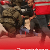 #6AMW | Heidi Levine, fotoperiodista estadounidense independiente quien ha dedicado gran parte de su carrera a cubrir el conflicto israelí-palestino, fue brutalmente agredida por colonos israelíes en Abu Falah (Cisjordania).