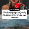 En entrevista con #DosPuntos de Caracol Radio Erika Lozano, secretaria de Ambiente y Gestión de Riesgo del Tolima, entregó detalles de las acciones que se adelantan desde el gobierno local para ayudar a los afectados por los indencios en el departamento.
