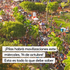 #Serviciodigital I Si tiene previsto participar en las marchas o necesita desplazarse por su ciudad este miercoles 14 de octubre, esta información le interesa