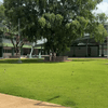 En Valledupar, Daniela Pachón continúa el recorrido junto a la gobernadora del Cesar, Elvia Milena Sanjuán Dávila, por la nueva Institución Educativa José Eugenio Martínez, un proyecto que refleja la apuesta del departamento por fortalecer la infraestructura educativa.